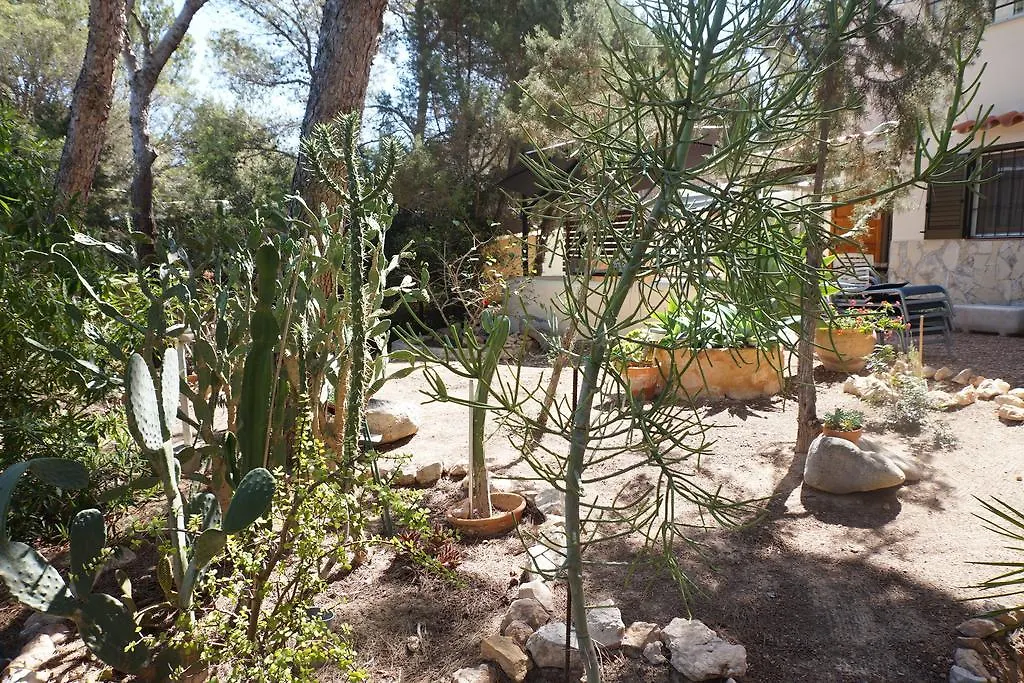 Casa La Paloma Villa Escalo